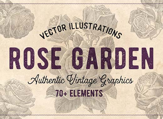 70款手绘怀旧风格的玫瑰花矢量素材精选文件[eps,png]