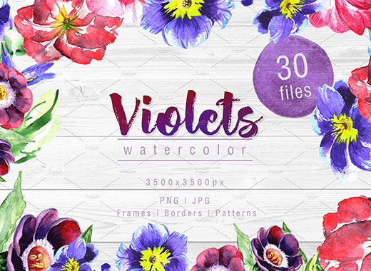 超赞的30款紫罗兰花水彩集打包文件[png,jpg]