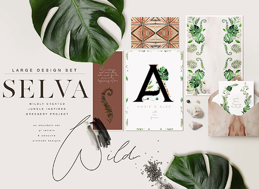 极简充满活力的丛林绿化矢量素材精选文件 2.05 GB[psd,png,jpeg]