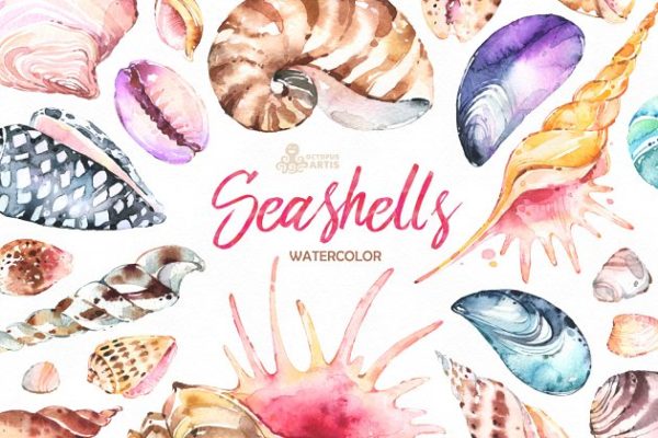 奇形怪状的贝壳水彩画素材精选汇总 Seashells. Watercolor collection