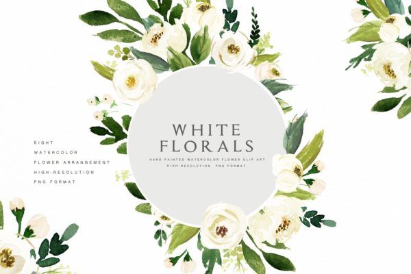 水彩花卉素材精选 Watercolor White Flower Clip Art