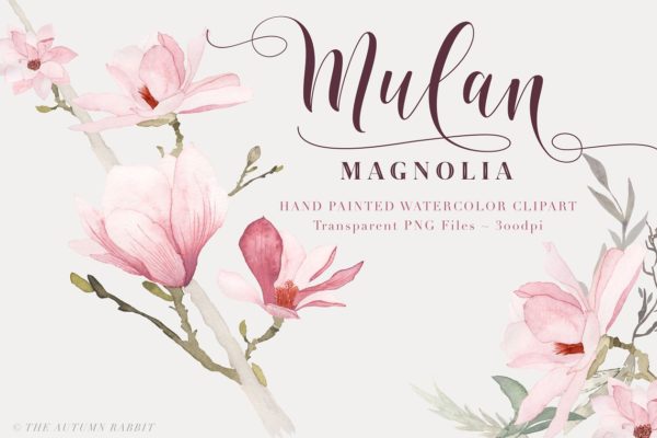 水彩玉兰花剪切画素材精选 Watercolor Magnolia Floral Clipart