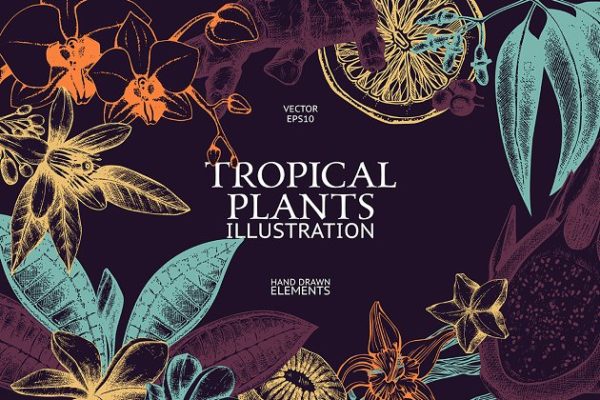 热带植物和花卉矢量图形 Vector Tropical Plants & Flowers