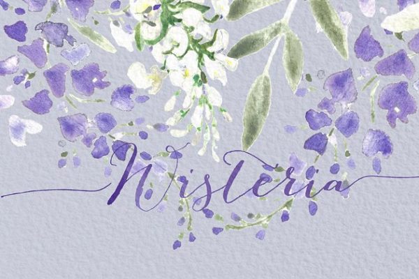 紫藤婚礼婚庆水彩画素材精选 Wisteria wedding watercolors