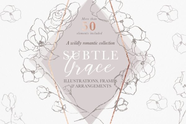 插花艺术插图 Fine Art Floral Illustrations