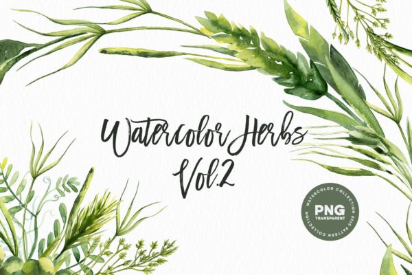 草本药草水彩插画素材精选 Watercolor Herbs Vol.2