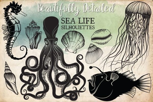手绘海洋生活剪贴画素材精选 Hand Drawn Ocean Life Clipart