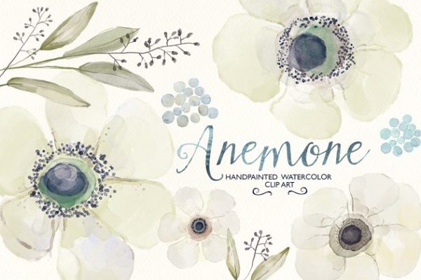 毛茛属植物水彩插画素材精选 Watercolor ranunculus clip art