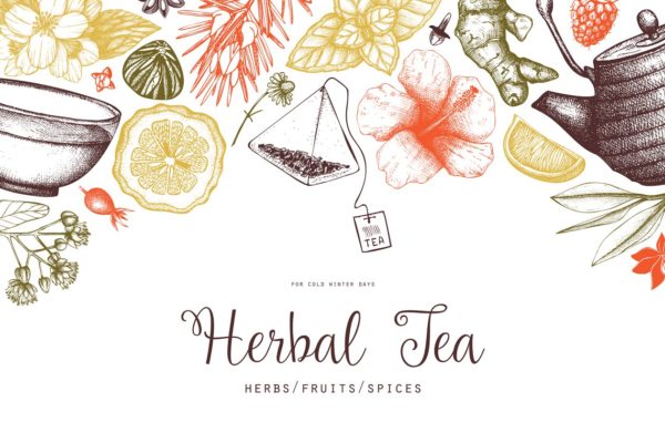 各种茶成分茶元素矢量 Vector Tea Ingredients Collection