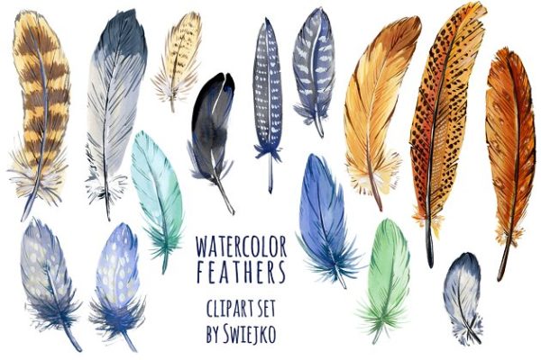 水彩多彩羽毛剪贴画 Watercolor feather clipart