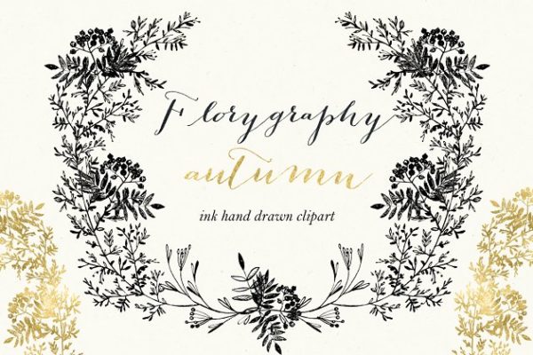 秋天风格墨水画花卉剪贴画 Florygraphy. Autumn. Ink clipart