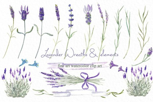 薰衣草水彩花卉设计素材精选 Lavender wreaths watercolor flowers