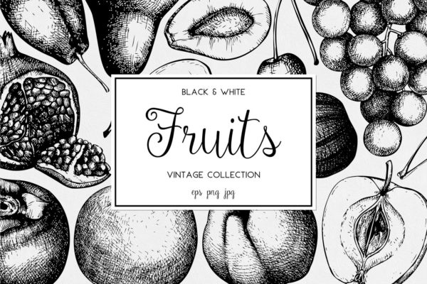 墨水手绘水果素材精选汇总 Ink hand drawn fruit collection