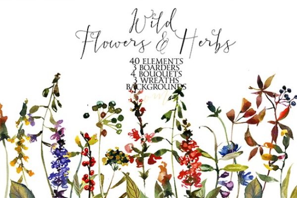 野花草本水彩套装 Wild Flowers & Herbs Watercolor Set