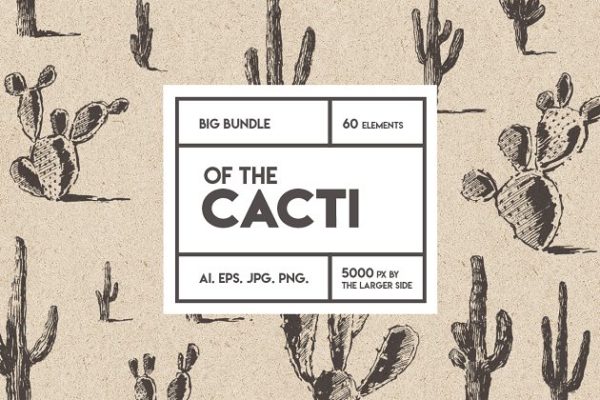 仙人掌素描风格设计素材精选 Big cacti bundle, sketch style