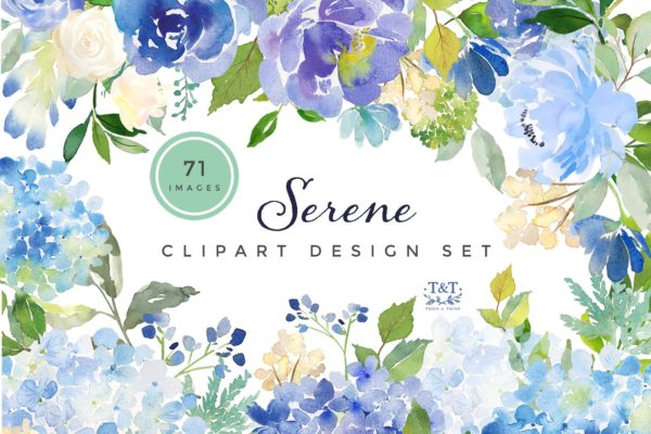 美丽的混合花卉水彩剪贴画汇总[1.01GB] Watercolor Flower Graphics – Serene