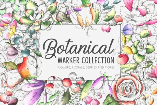 各种植物花卉水彩剪贴画汇总 Botanical Marker Collection Pro
