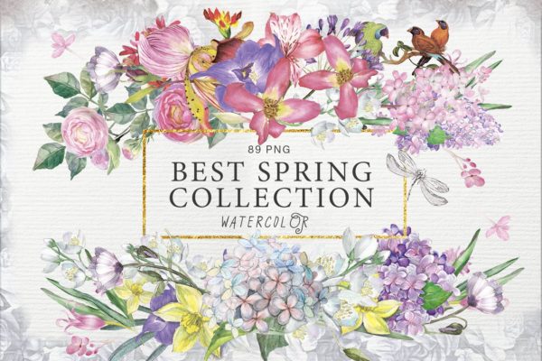 春之花水彩花卉大汇总[1.3G] BEST SPRING FLOWERS