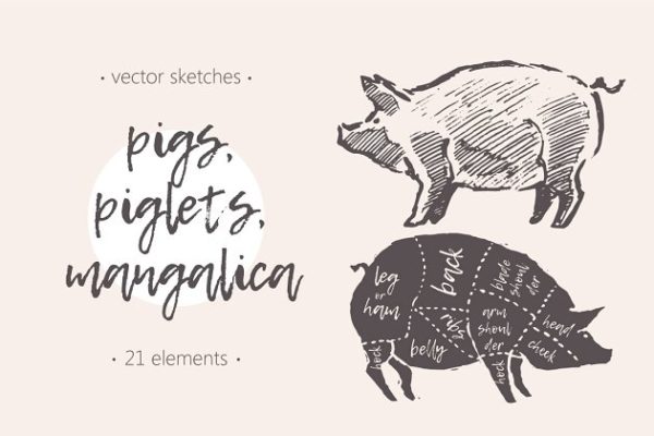 钢笔素描猪图形 Illustrations of pigs, piglets & etc