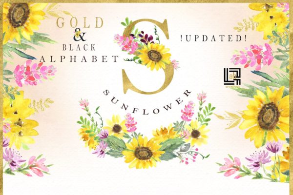 金色粉色向日葵水彩画剪贴画 Sunflowers gold & pink Watercolor