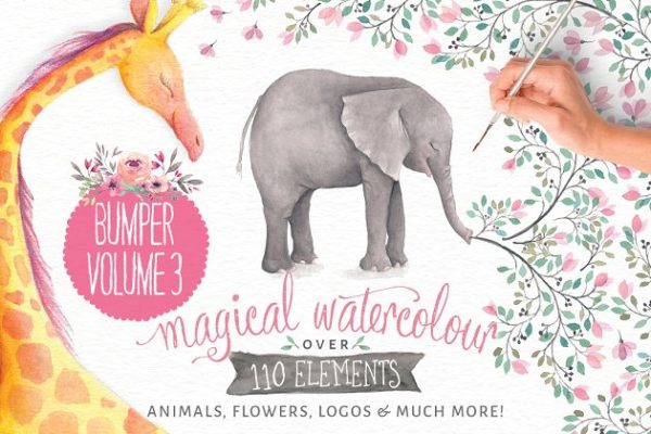 水彩动物&花卉插画汇总 Watercolor animals & flowers vol 3