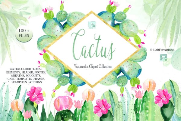 仙人掌水彩剪贴画汇总 Cactus watercolr clipart collection