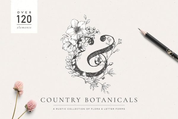 乡土气息植物、手绘字体&花卉字体 Botanical Illustrations & Monograms