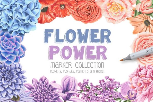 高质素记号笔手绘花卉素材精选[元素+纹理+花饰框] Flower Power Marker Collection Pro