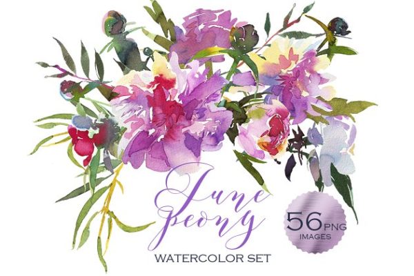 粉红牡丹水彩剪贴画汇总 Pink Peony Watercolor Clip Art Set