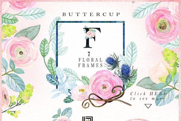 粉红色毛茛属植物水彩剪贴画 Buttercups. Ranunculus soft pink.