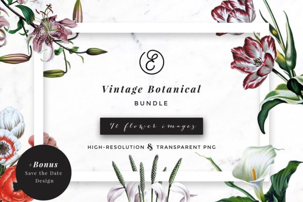 复古植物花卉剪贴画汇总 Vintage Botanical Flower Bundle