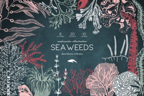 海藻珊瑚矢量插画汇总 Vector Seaweeds & Corals Set