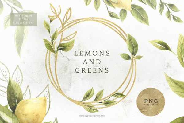 柠檬&绿色枝叶水彩插画 Lemons & Greens