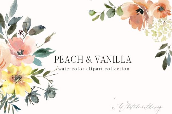 桃子和香草水彩剪贴画 Peach & Vanilla Watercolor Clipart