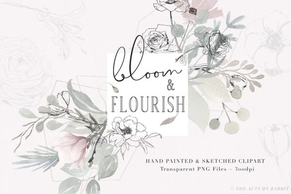 淡雅手绘素描花卉剪贴画 Bloom & Flourish – Floral Clipart