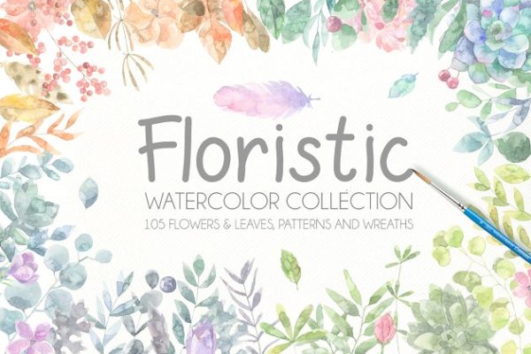 水彩植物插画汇总 Floristic Watercolor Collection Pro