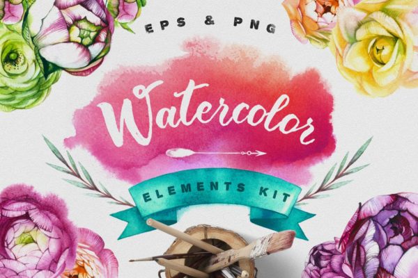 水彩手绘花卉插画元素大汇总 Watercolor Flowers