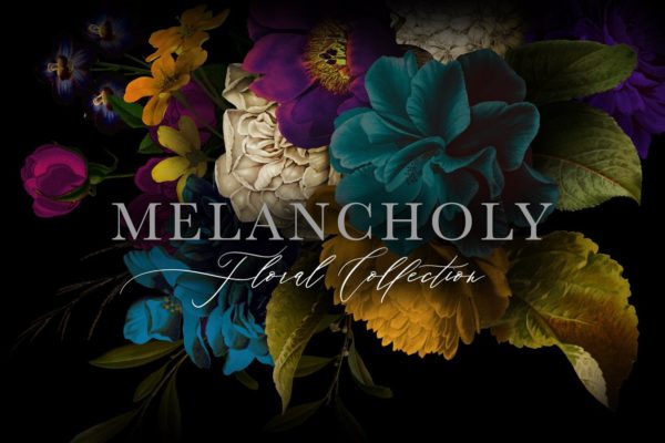忧郁格调花卉插画汇总 Melancholy Floral Collection