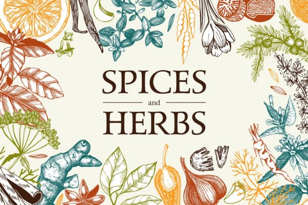 厨房香料及香草矢量插画 Vector Kitchen Spice & Herbs Set