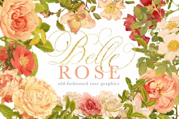 旧时尚老派水彩玫瑰花卉剪贴画汇总 Belle Rose Antique Graphics Bundle