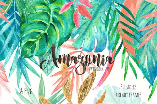 亚马逊热带雨林树叶金色水彩剪贴画 Tropical leaves Amazonia gold clipat