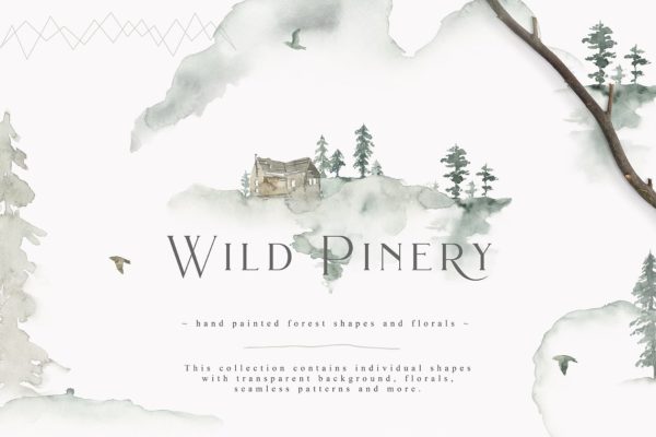 诗情画意荒野水墨画插画 Wild Pinery Watercolor Collection