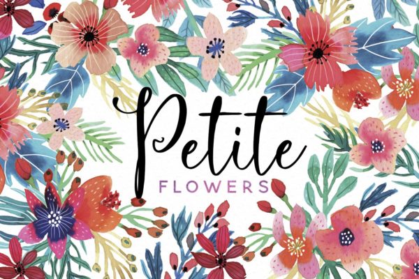 娇艳花卉水彩插画汇总 Petite Flowers Watercolor Collection