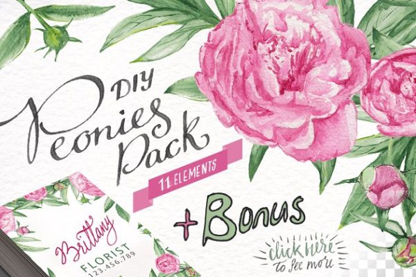 水彩牡丹花花卉插画设计素材精选 Watercolor Peonies DIY Pack +bonus