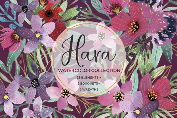 万紫千红水彩花卉插画汇总 Hara Watercolor Collection