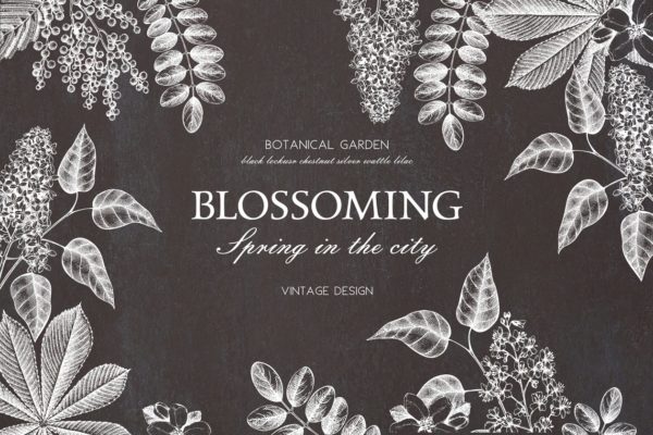 春季树木矢量插画素材精选 Vector Spring Trees Collection