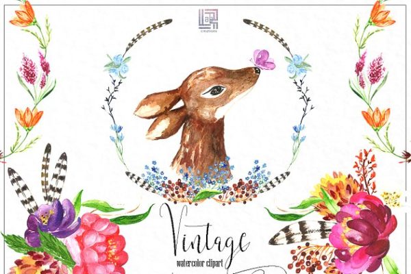 复古花卉和浆果水彩画插画 Vintage flowers & berry Watercolor