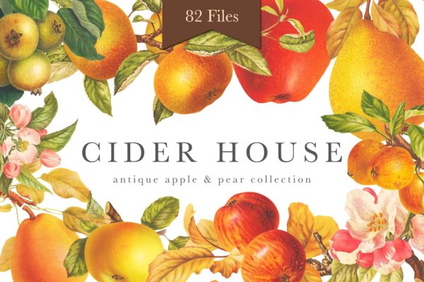 旧书水果插画素材精选集 Cider House Apple & Pear Graphics