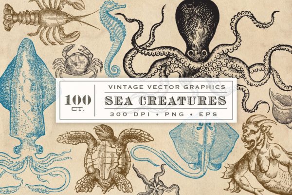 海洋生物旧书插画集 Antique Sea Creatures & Monsters