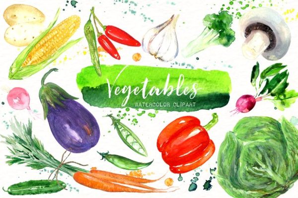 素材精选素食水彩剪贴画 Vegetables. Vegan Watercolor clipart